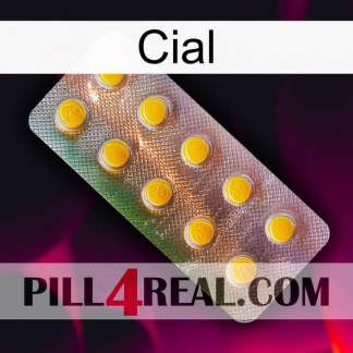 Cial new11